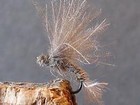 mouche de peche a la mouche "antchola"