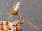 mouche de peche a la mouche "banca olive"