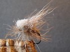 mouche de peche a la mouche sedge "toutoulia"