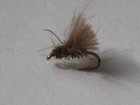 mouche de peche a la mouche "aintzaga"
