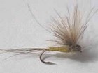 mouche de peche a la mouche "kakueta"
