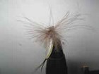 mouche de peche a la mouche "ma tiss�e"